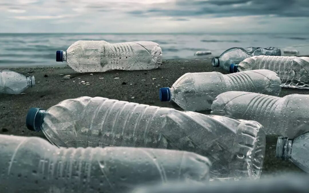 The Future Of Plastic Bottles