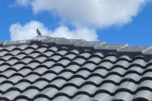 rainwater catchment roof