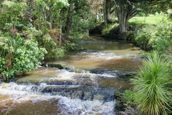 Spring bore water supply