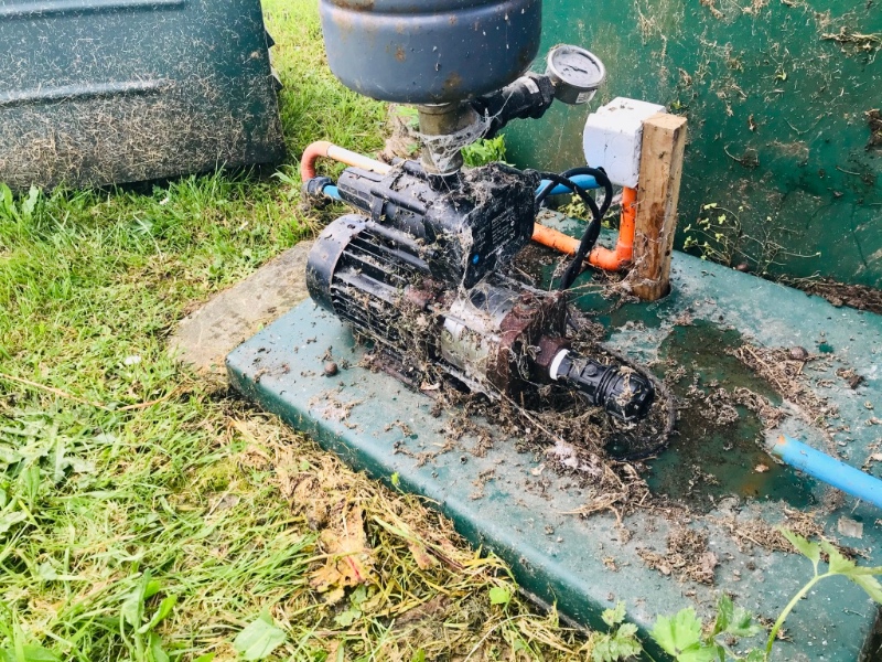 Expert Advice on Water Pump replacement or repairs?