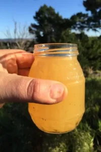 E-Coli-in-water