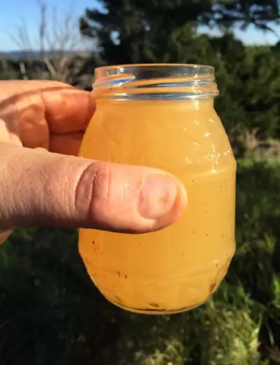 E-Coli-in-water E-Coli in water