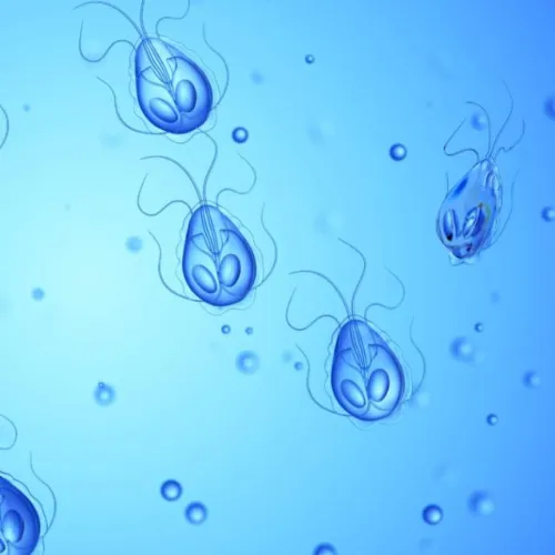 Giardia parasites in water