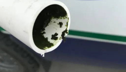 Legionella-in-water-biofilm-plumbing