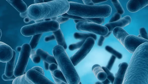 Legionella-in-water-biofilm-plumbing