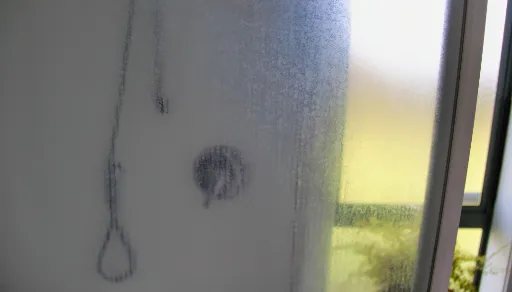 Silica stains in shower