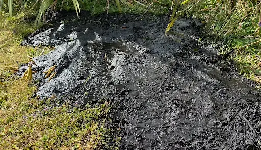 bitumen-asphalt-roof