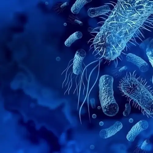 E. coli bacteria in drinking water