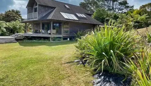bitumen asphalt shingles roof contamination