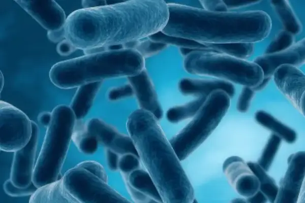 Legionella