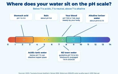 Alkaline Water and Water Ionisers: What the Evidence Says