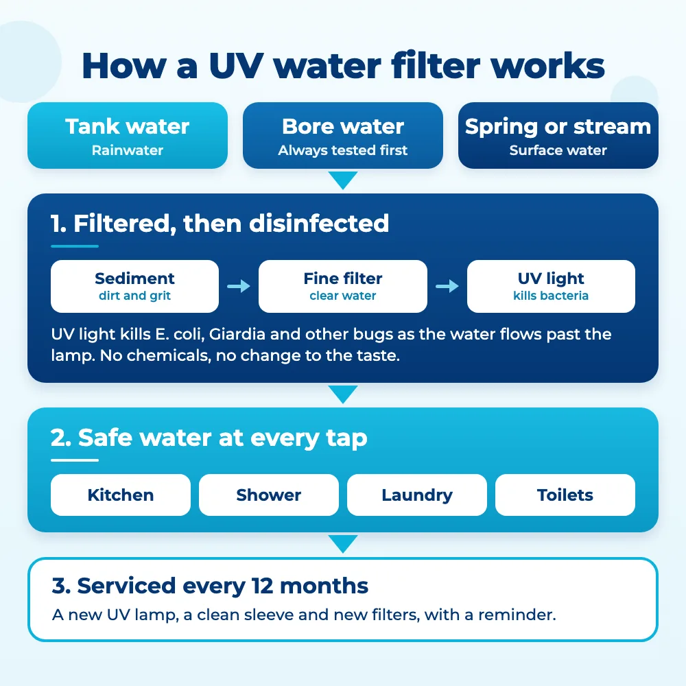 How a UV water filter works: tank, bore or spring water is filtered, then disinfected by UV light, so every tap gets safe water, with a service every 12 months