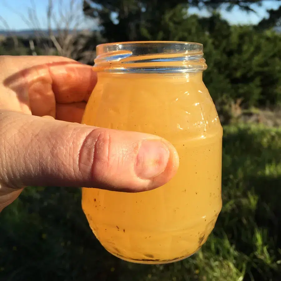 Jar of orange, iron-rich bore water from a property near the Kaipara Harbour
