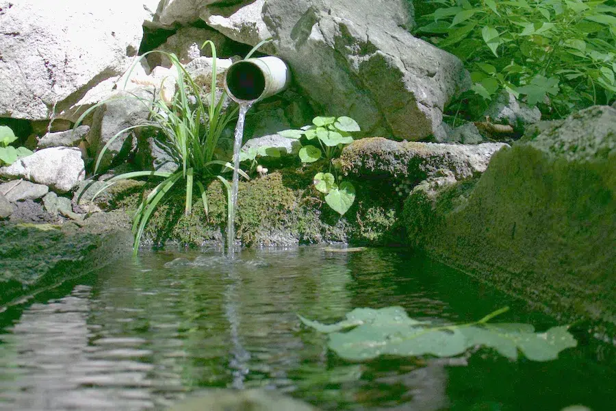 Spring water running from a pipe between rocks into a small pool